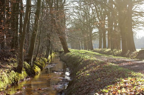 staverden  creek  winter