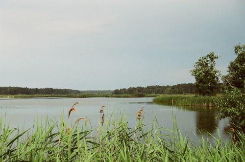 Pond Sonowica Poland