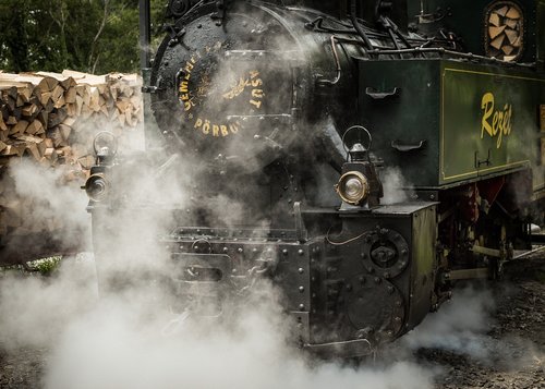 steam  train  logs