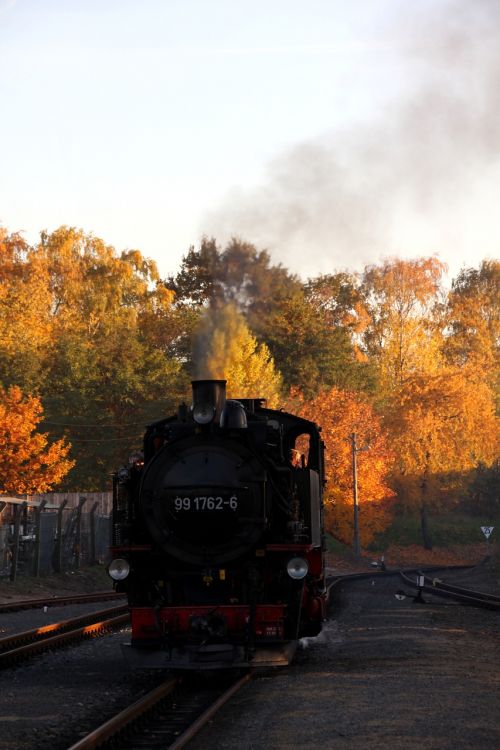 steam locomotive narrow gauge autumn