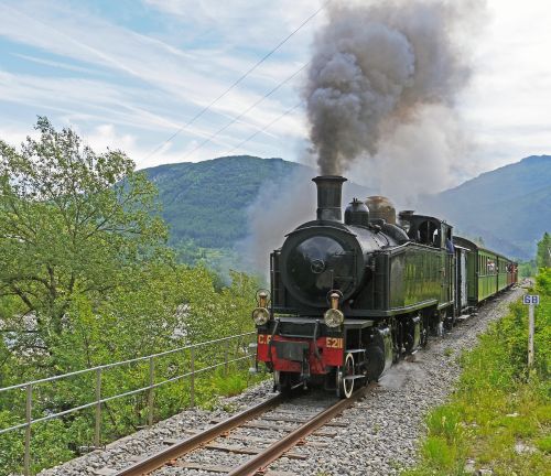 steam locomotive narrow gauge nostalgia ride