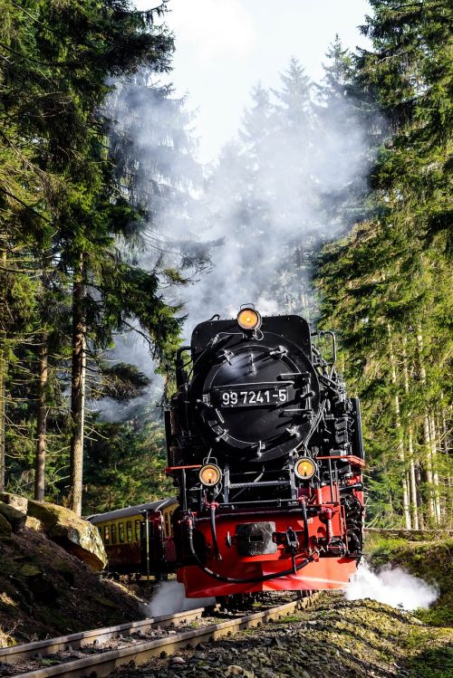 steam locomotive schmalspuhr schmalspuhrbahn