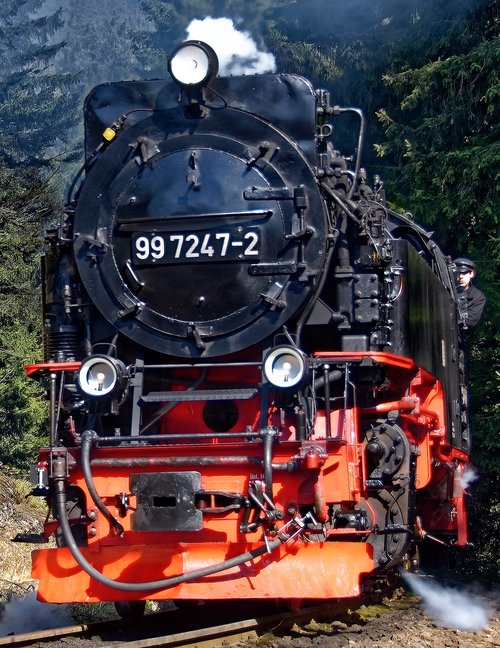 steam locomotive  narrow gauge railway  resin