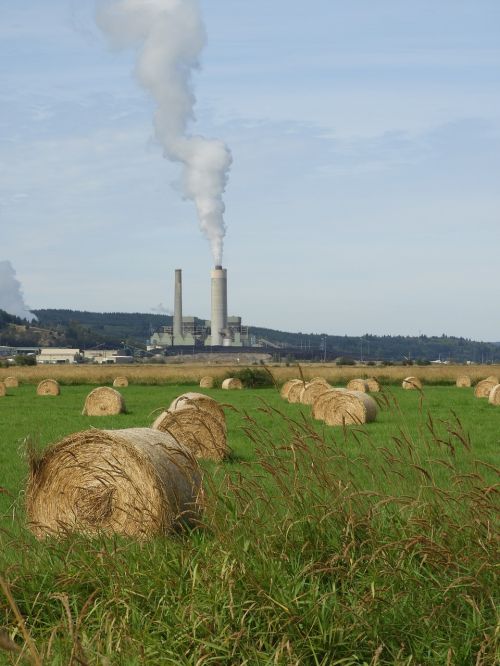 steam plant hay field