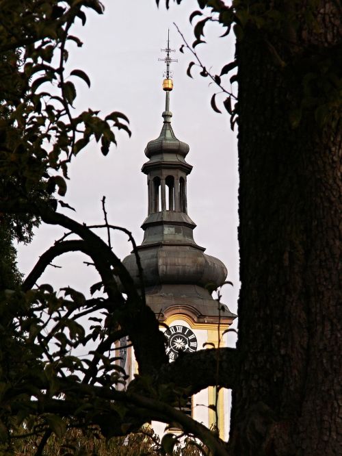 steeple old tree tower