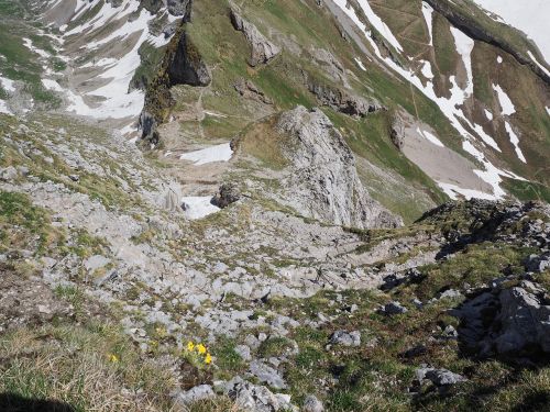 steepness steep trail