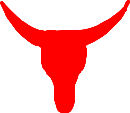 steer texas longhorn cattle