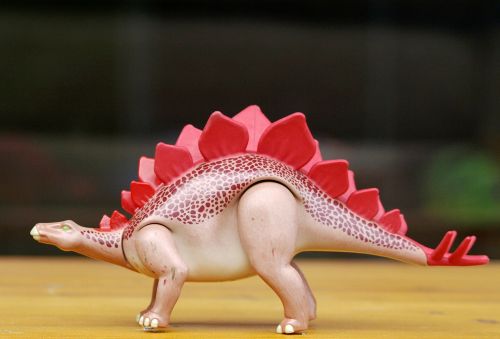 stegosaurus dinosaur dino