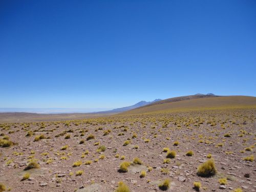 steppe desert dry