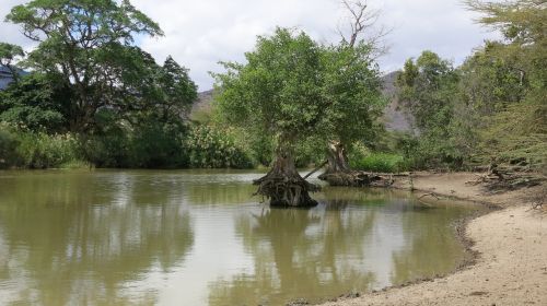 steppe tanzania lake