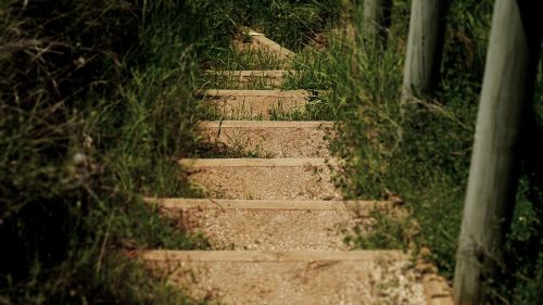 steps stairs grass