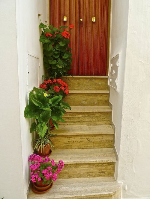 steps flowers entry