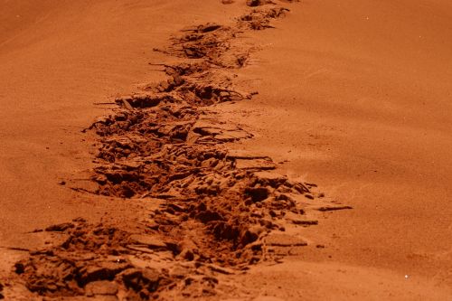 steps footsteps sand