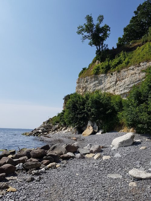 stevens klint  denmark  chalk cliffs