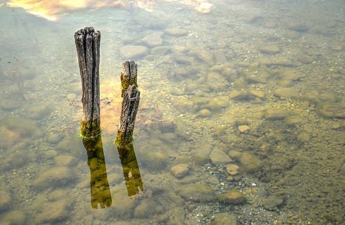 stick  wood  water