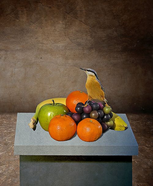 still life fruits bird