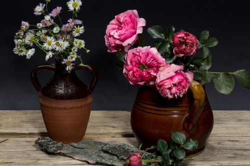 still life flowers roses