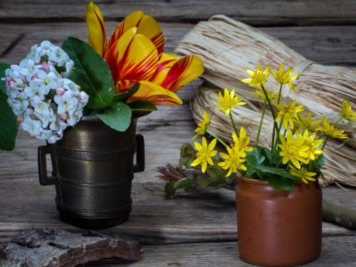 still life flowers cup