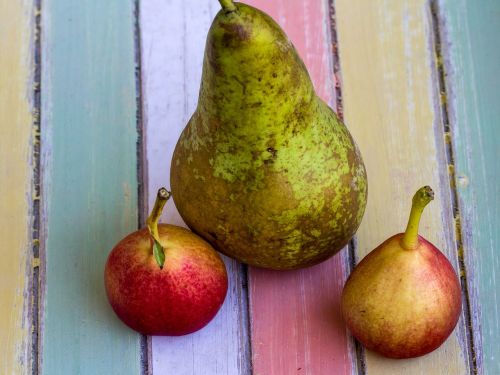 still life pears fruit