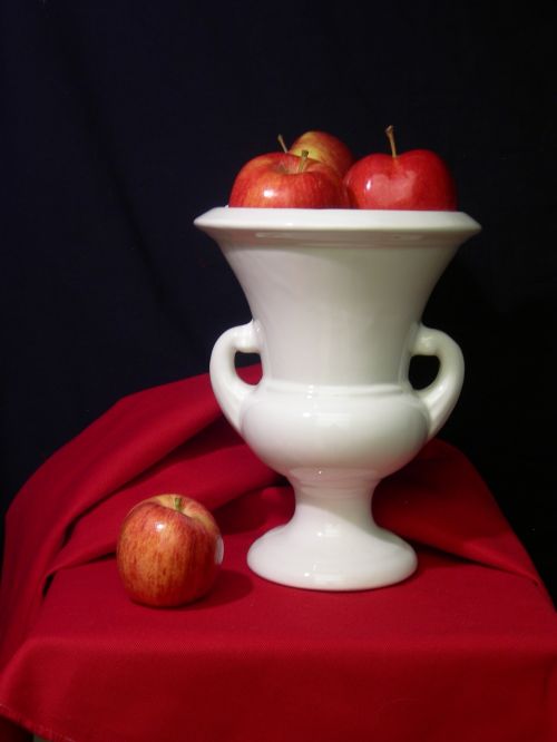 still-life apples vase