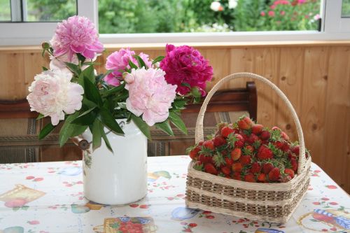 still life flowers peonies