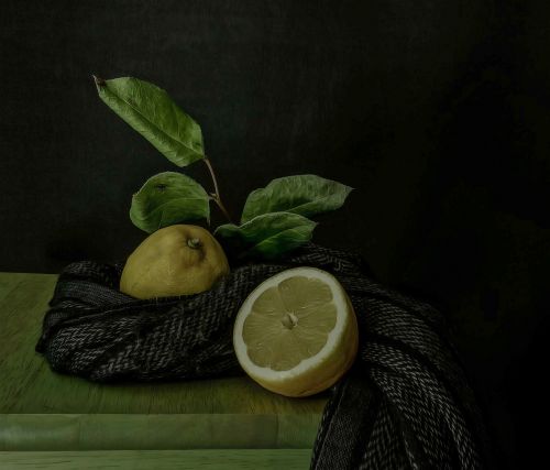 still life lemon citrus fruits