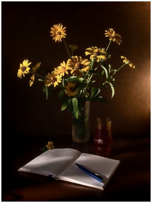 still life chamomile notebook