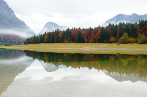 still life nature lake