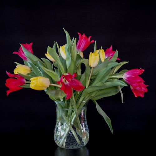 still life bouquet tulips