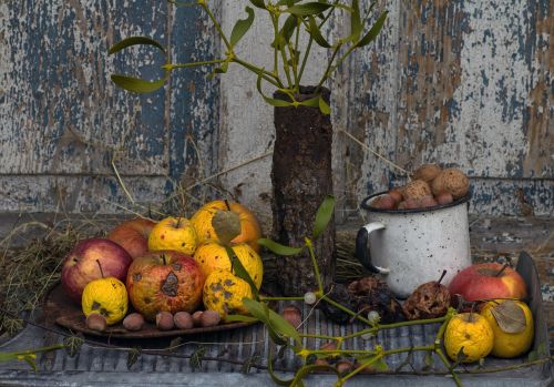 still life apple colorful