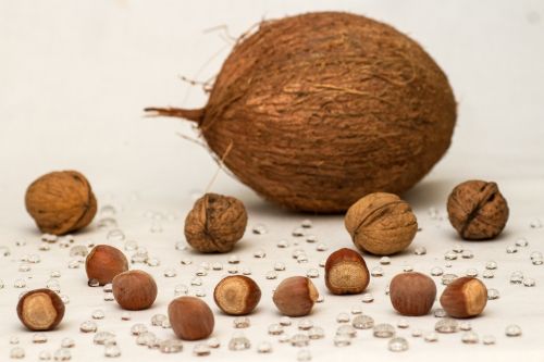 still life nuts walnuts