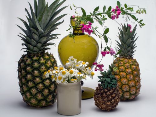 still life fruit pineapple