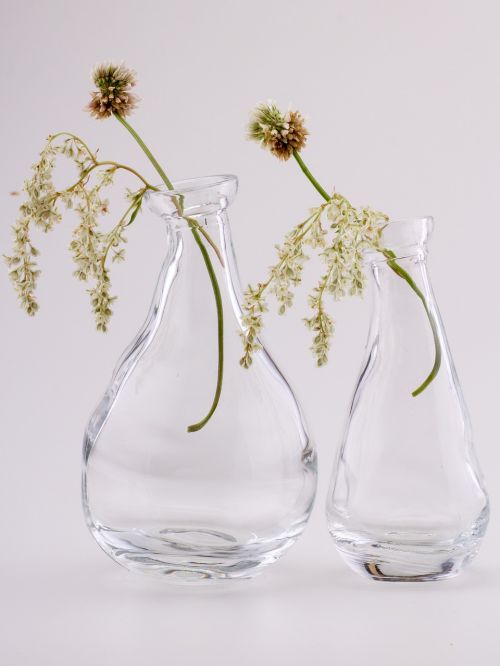 still life glass flowers