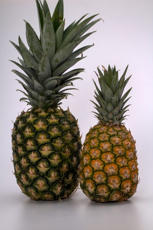 still life fruits pineapple