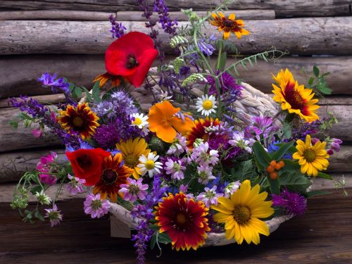 still life flowers bouquet