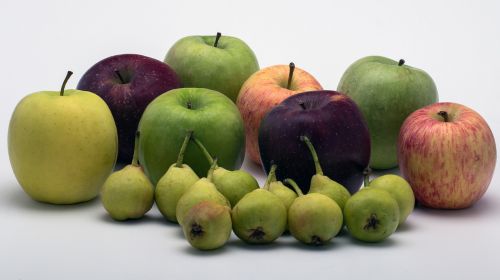 still life apple pears