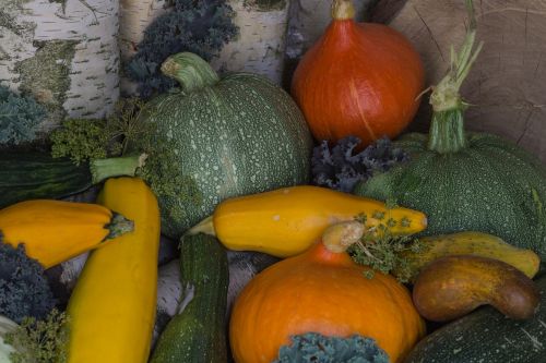 still life fruit pumpkins