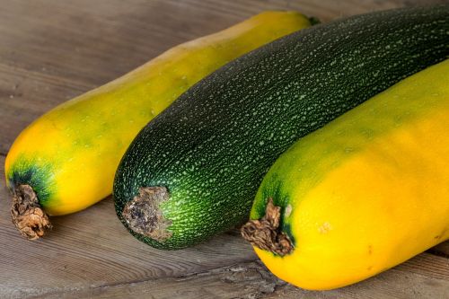 still life zuchcini colorful