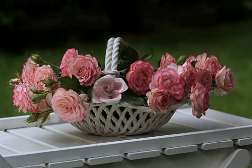 still life roses pink