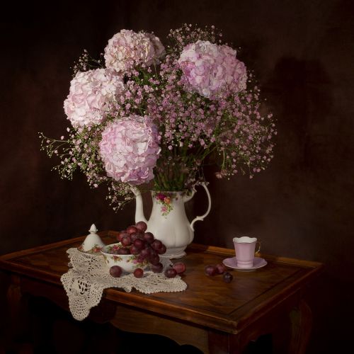 still lifes flowers hydrangea