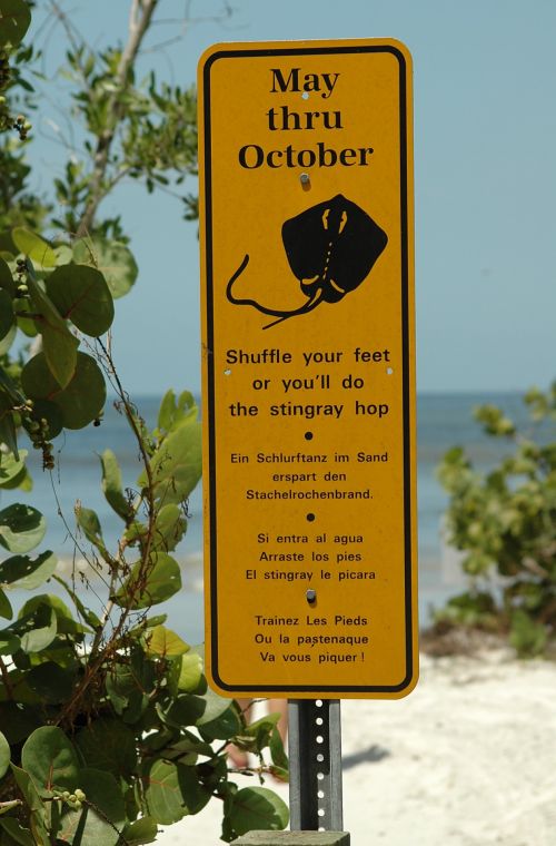 Stingray Warning Sign
