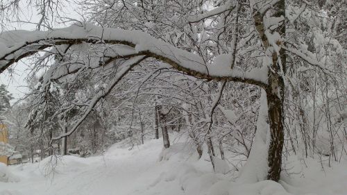 stockholm winter snow