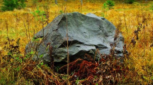 stone colors autumn