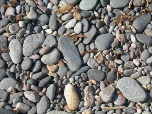 stone riverbed nature