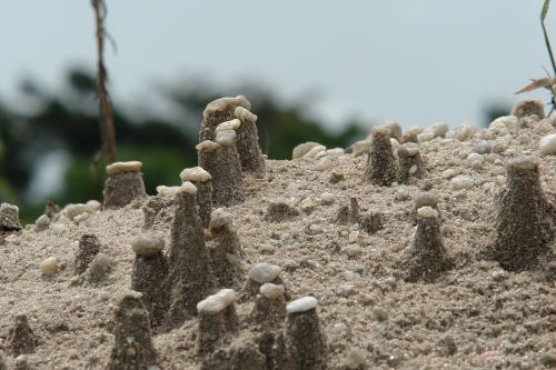 stone mound gravel