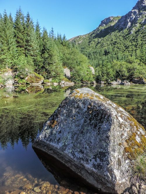 stone mountains forest