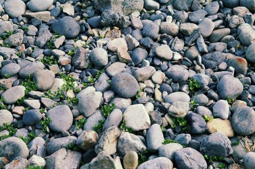 stone gravel mont-dol