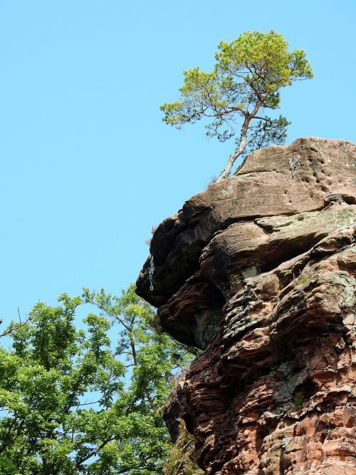 stone rock nature