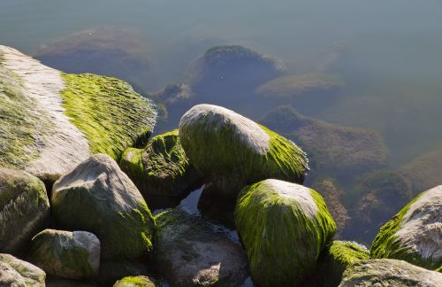 stone water nature