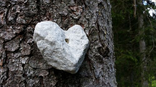stone heart wood